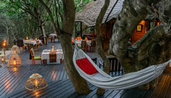 Kosi Forest Lodge